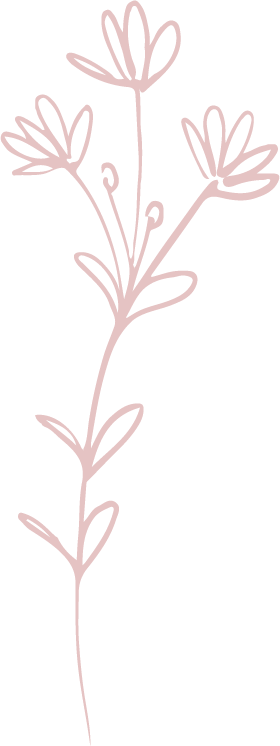 fleur-vieux-rose6